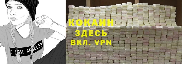 мяу мяу кристалл Няндома