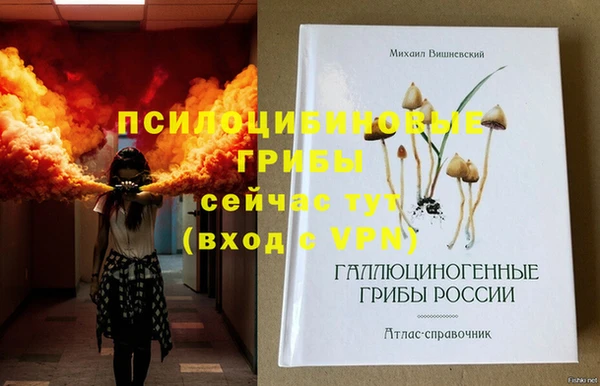 мяу мяу кристалл Няндома