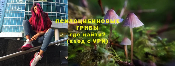 экстази Нязепетровск