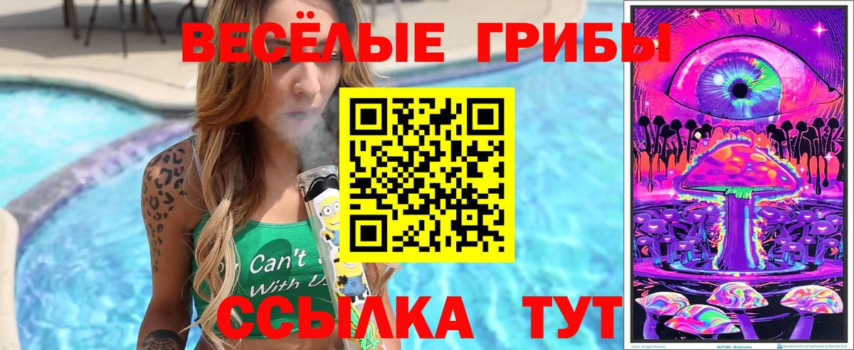 Псилоцибиновые грибы прущие грибы Кириши