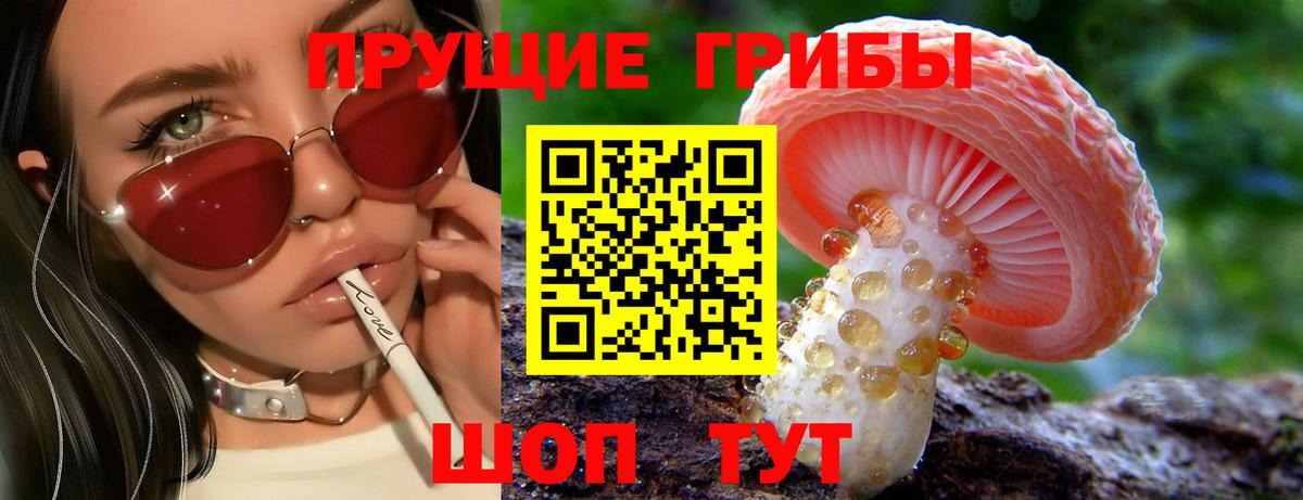 Псилоцибиновые грибы прущие грибы  Вход с VPN  Кириши  Псилоцибиновые грибы прущие грибы 