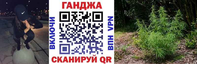 Канабис THC 21%  купить наркотики сайты  Кириши 